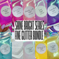 Shine Bright Series Fine Glitter Bundle - 10x 2oz/56g Pack