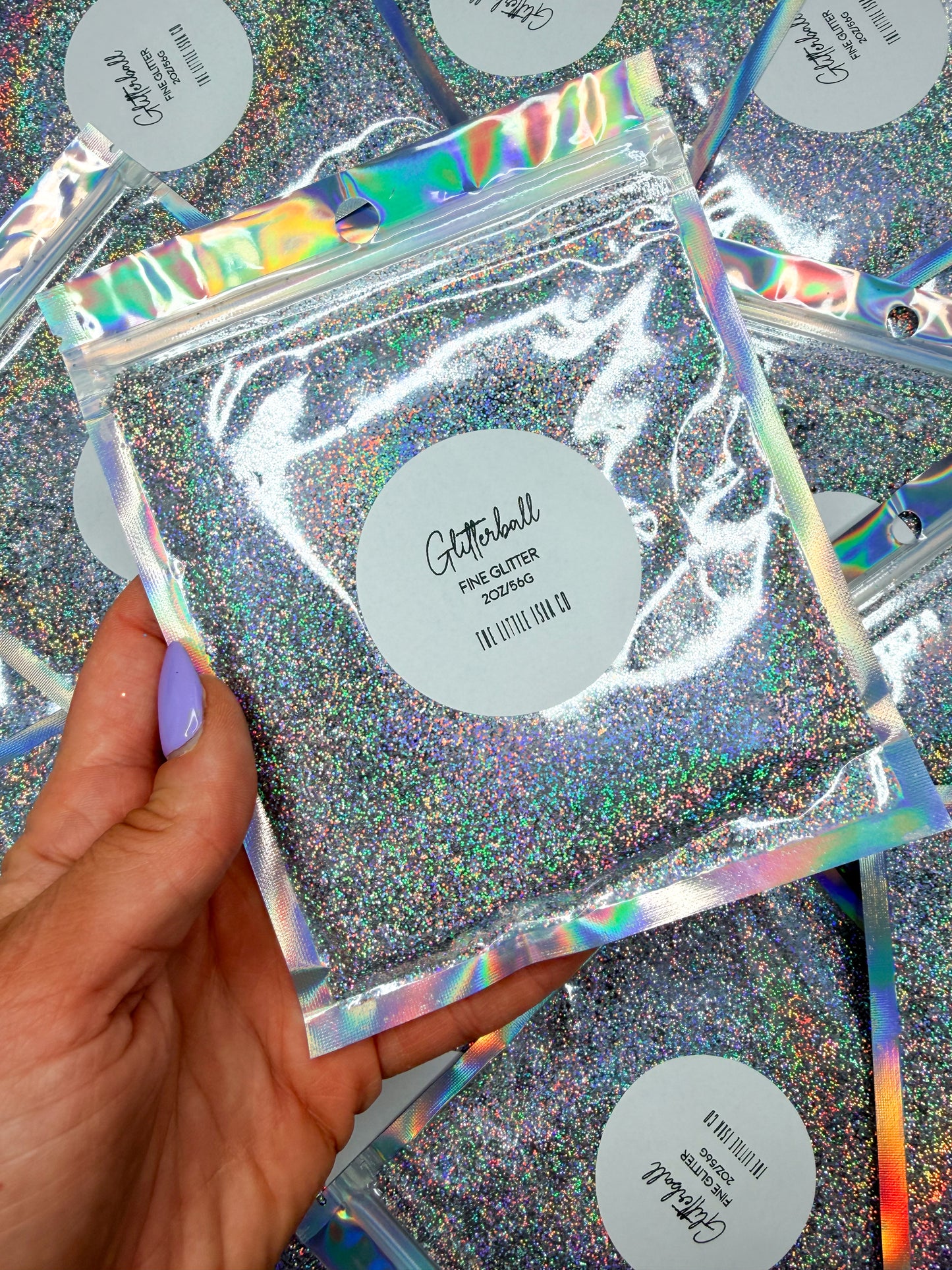 The Holographics Fine Glitter Bundle - 10x 2oz/56g Packs