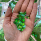 Palm Tree Glitter Shapes - 1oz/28g Pack