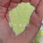 Life's Too Short - Fine Glitter - 2oz/56g Pack