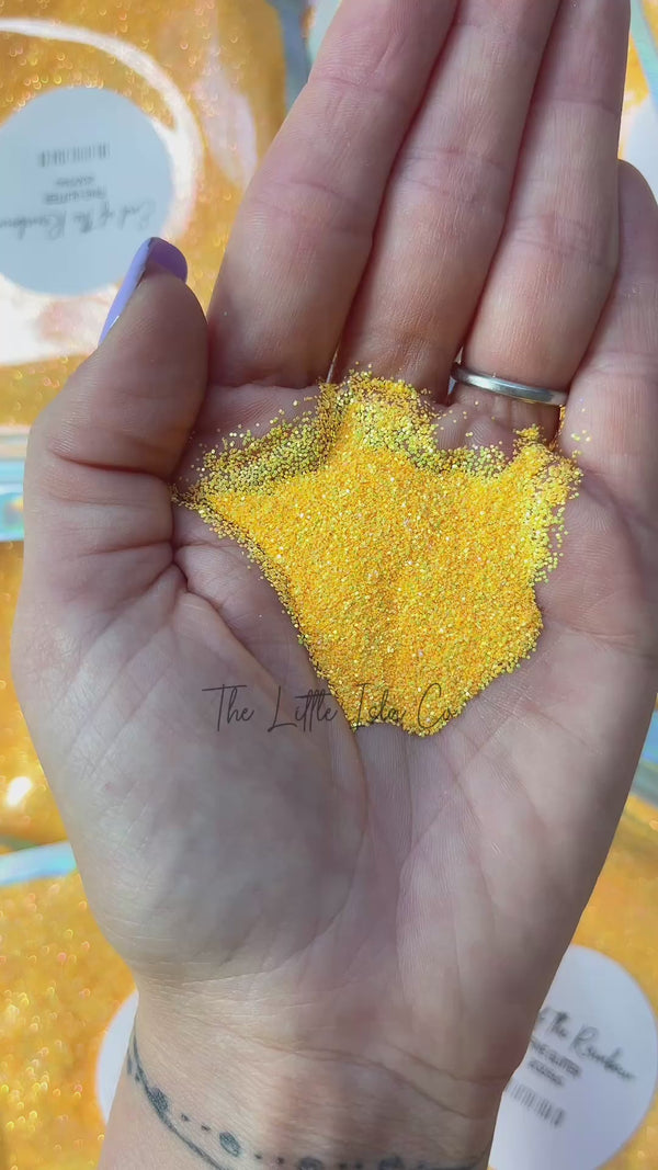 End of the Rainbow - Fine Glitter - 2oz/56g Pack